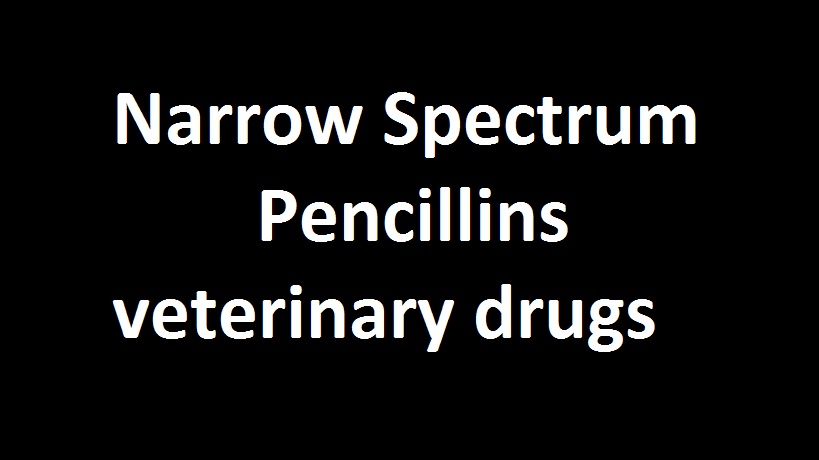 Narrow Spectrum Penicillin Veterinary Drugs