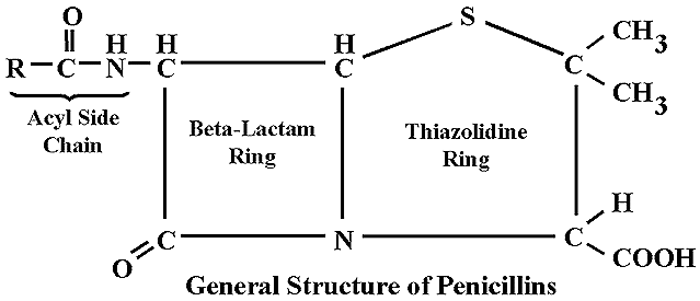 Penicillin Drug