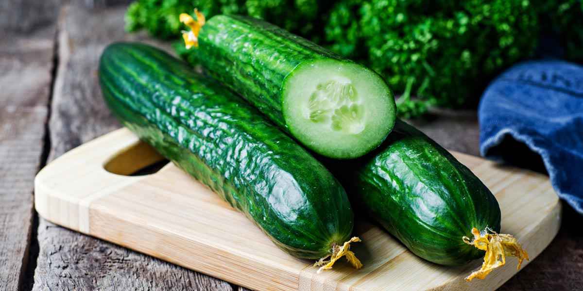 Cucumber Slices Perfect Fruits And Vegetables For Dogs