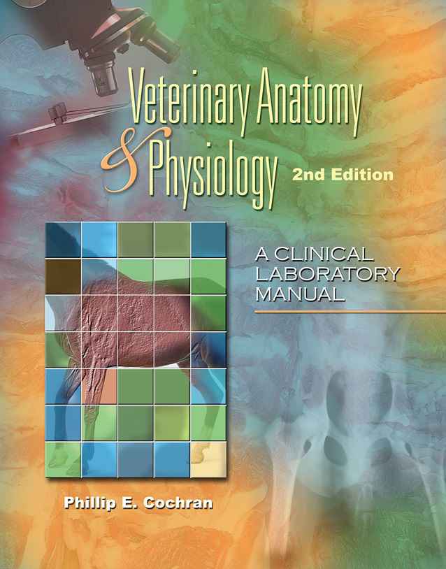 Laboratory Manual For Comparative Veterinary Anatomy & Physiology 2 Edition pdf