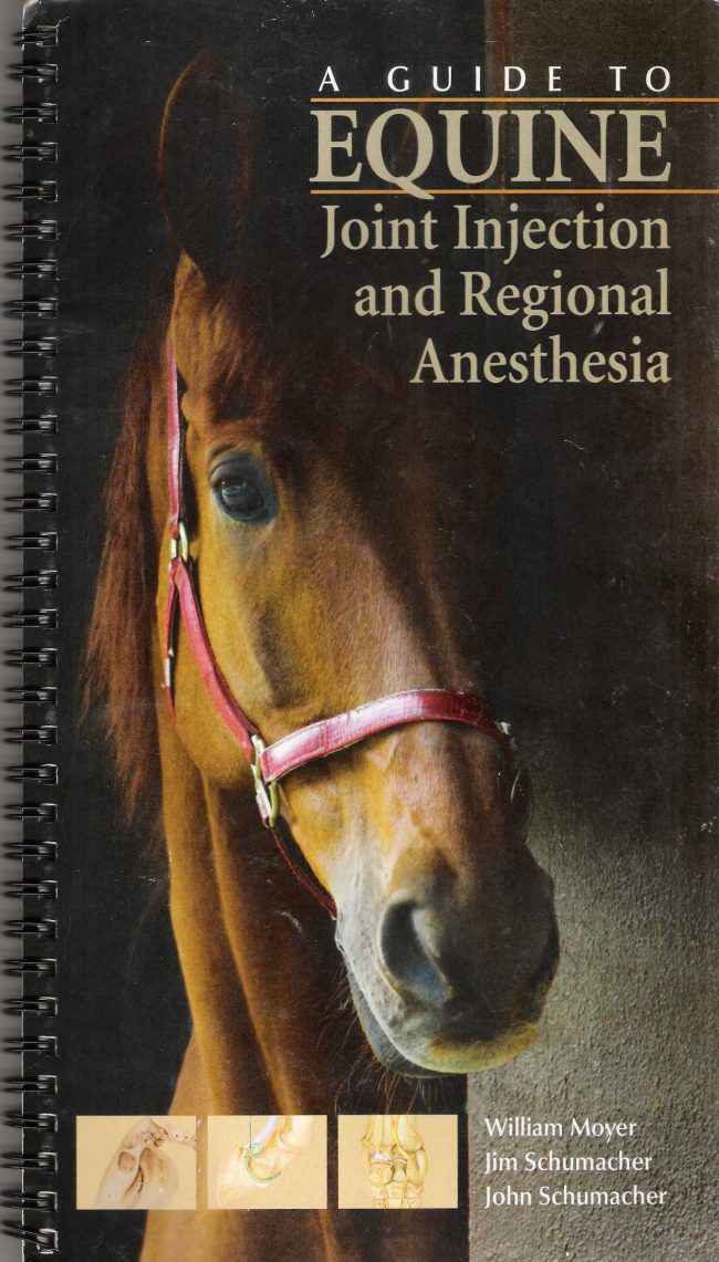 A Guide To Equine Injection And Regional Anesthesia PDF