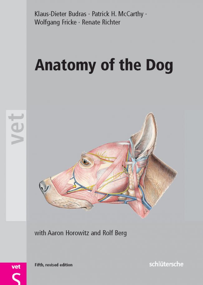 Anatomy Of The Dog Fifth Edition PDF