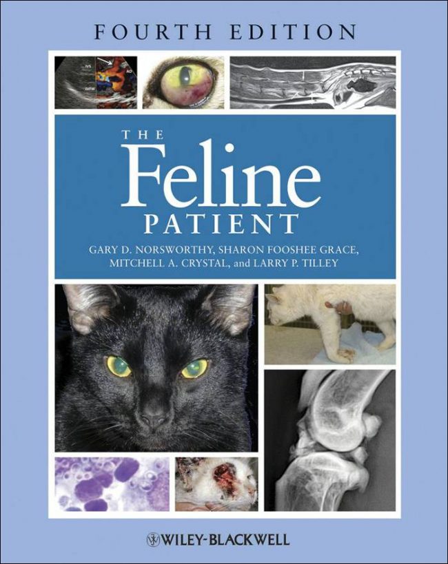 The Feline Patient Fourth Edition PDF Download