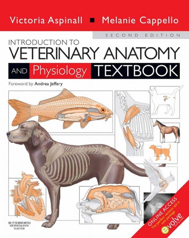 Introduction To Veterinary Anatomy And Physiology 2nd Edition PDF Download