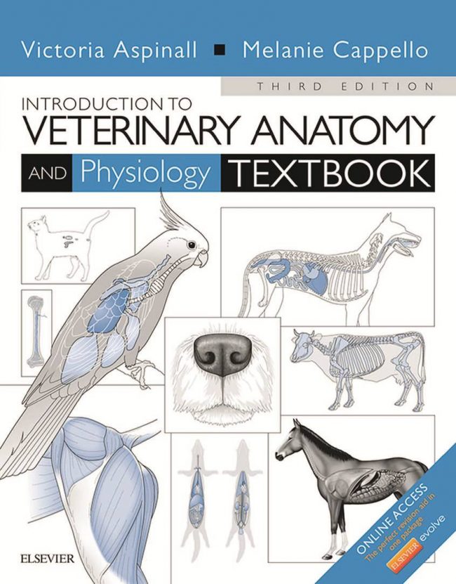 Introduction To Veterinary Anatomy And Physiology Textbook PDF