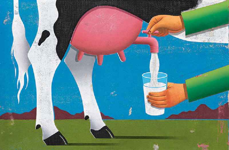 Milk Borne Diseases list Milk Borne Diseases list