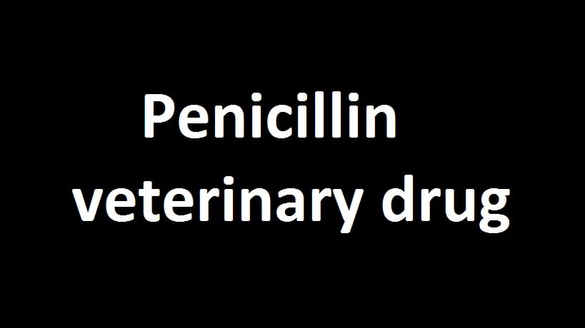 Penicillin veterinary drug Penicillin veterinary drug