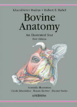 Bovine Anatomy An Illustrated Text First Edition PDF