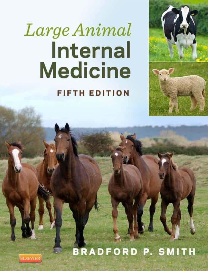 Large Animal Internal Medicine 5th Edition