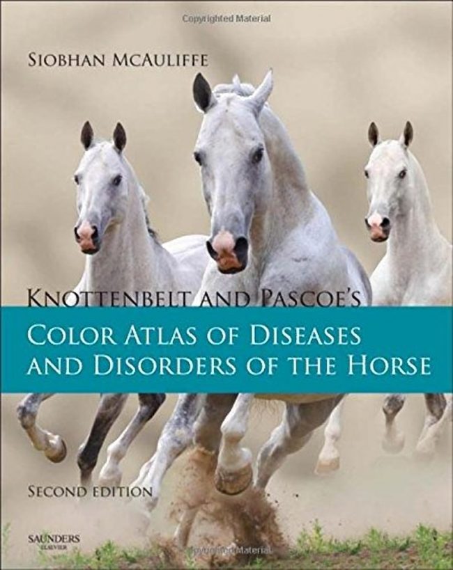 Color Atlas Of Diseases And Disorders Of The Horse 2nd Edition PDF
