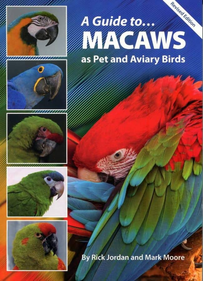 A Guide To Macaws As Pet And Aviary Birds 2nd Revised Edition Pdf Download