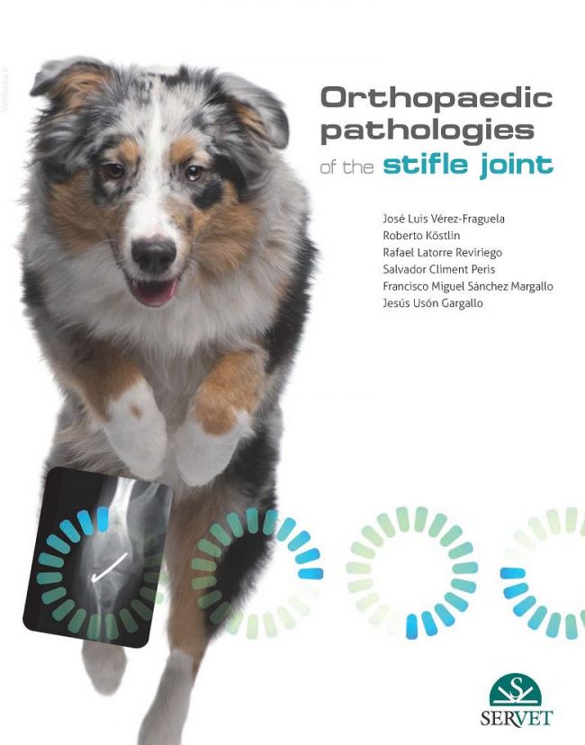 Orthopaedic Pathologies Of The Stifle Joint Free PDF