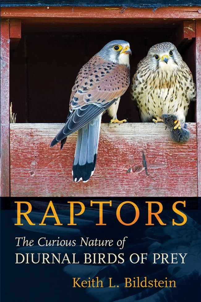 Raptors The Curious Nature Of Diurnal Birds Of Prey PDF