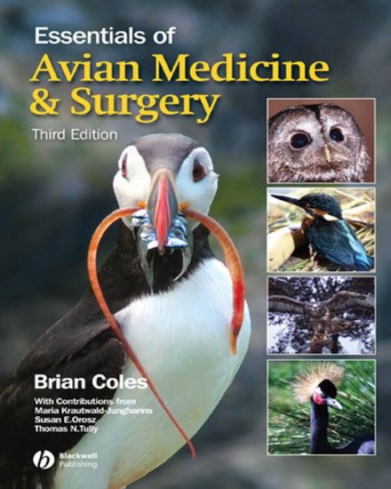 Essentials Of Avian Medicine And Surgery