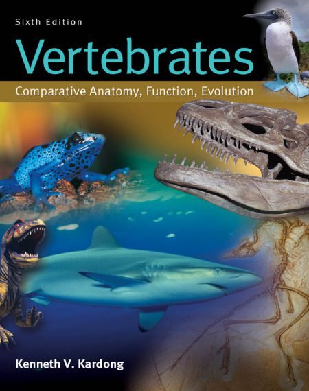 Vertebrates Comparative Anatomy Function Evolution 6e 