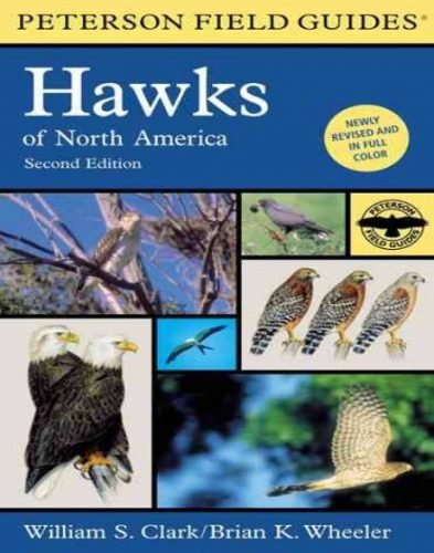 A Field Guide to Hawks North America 2nd Edition