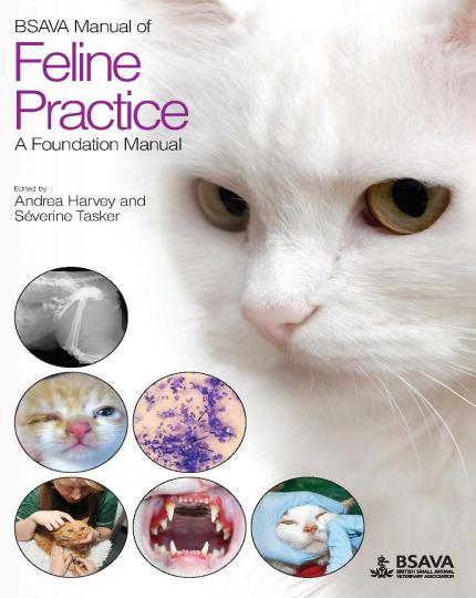 Feline Practice, A Foundation Manual