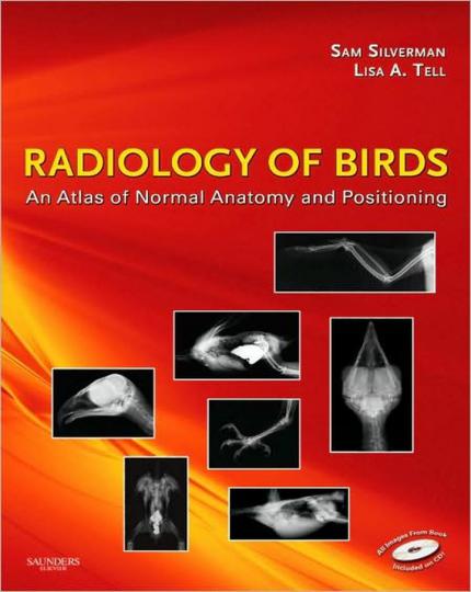 Radiology Of Birds An Atlas Of Normal Anatomy And Positioning