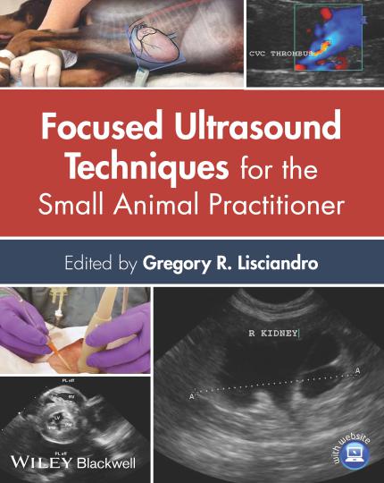 Focused Ultrasound Techniques For The Small Animal Practitioner