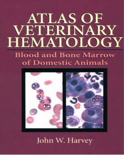 Atlas Of Veterinary Hematology Blood And Bone Marrow Of Domestic Animals