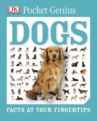 Dogs Facts At Your Fingertips