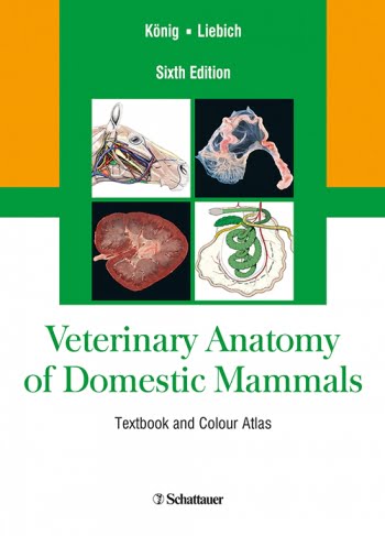 Anatomy Of Domestic Mammals