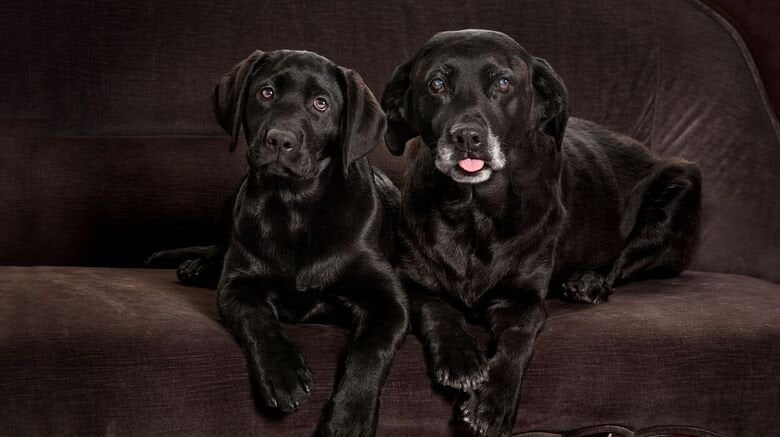 Cloning