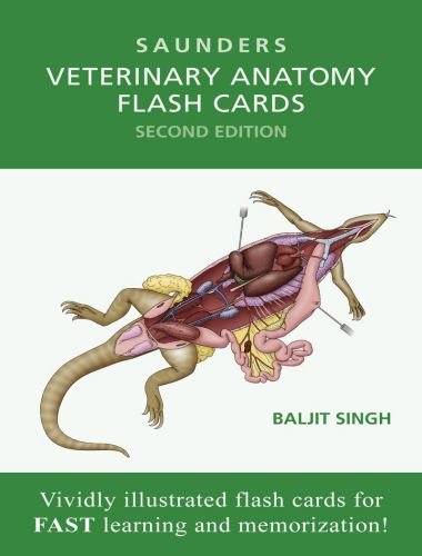 Saunders Veterinary Anatomy Flash Cards 2nd Edition