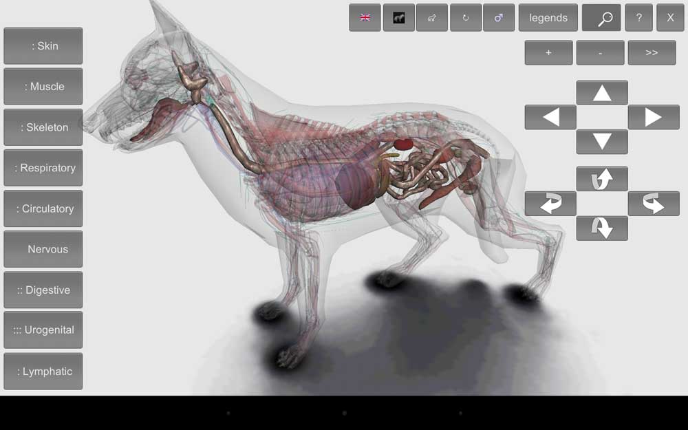 3D Dog Anatomy Android App 3