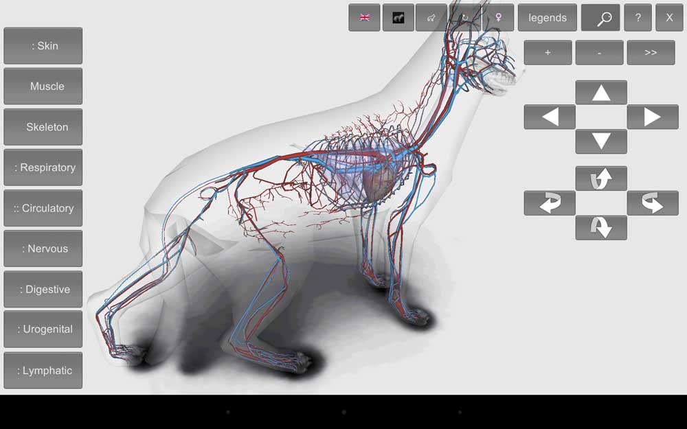 3D Dog Anatomy Android App 5