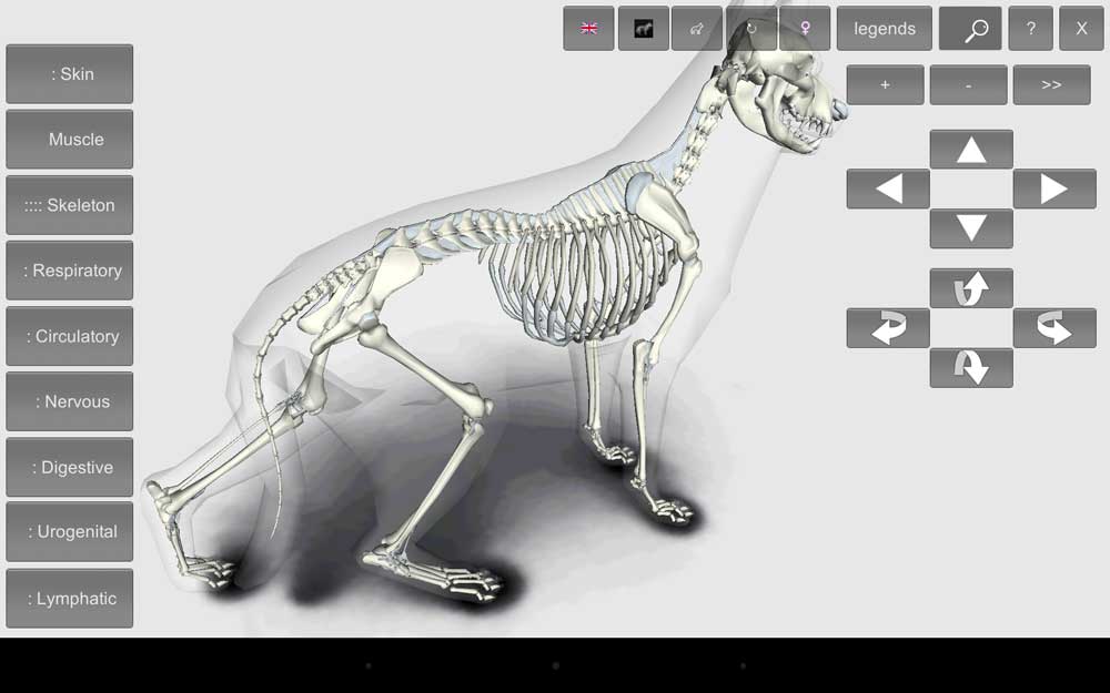 3D Dog Anatomy Android App 6