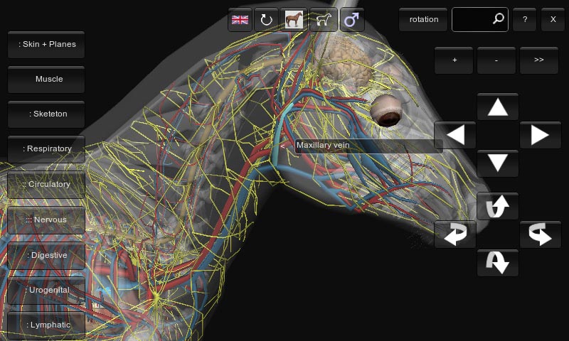 3D Horse Anatomy Android App 02
