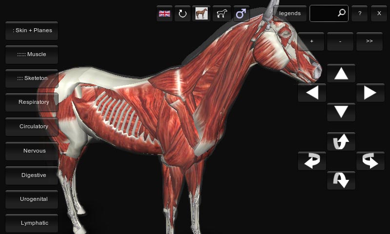 3D Horse Anatomy Android App 03