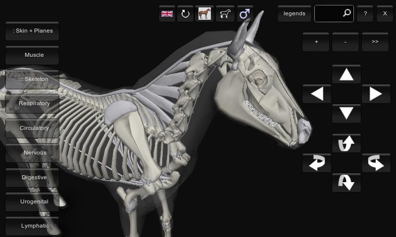3D Horse Anatomy Android App 04