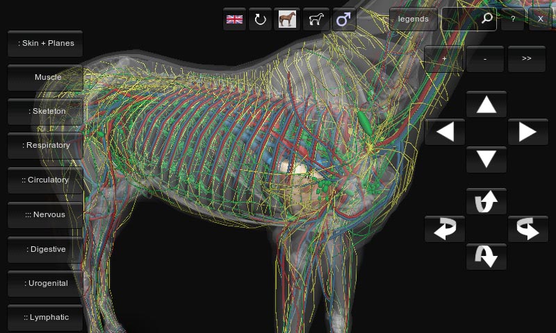 3D Horse Anatomy Android App 05