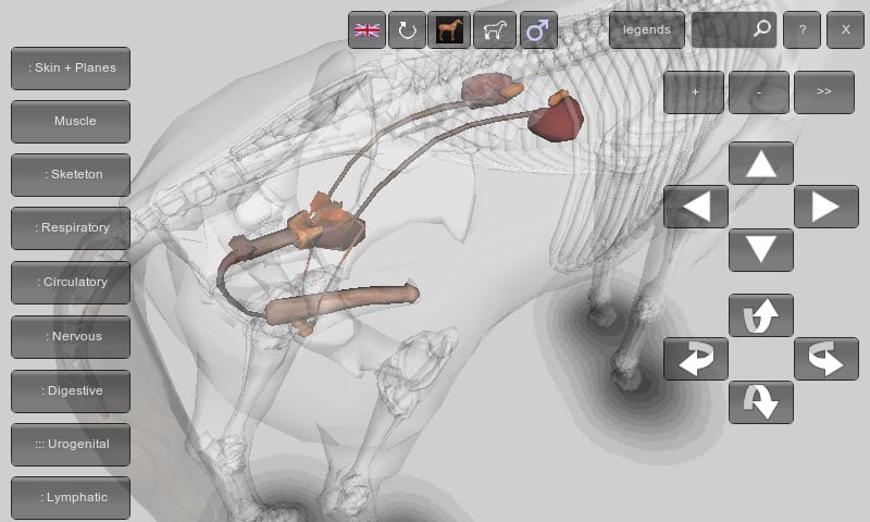 3D Horse Anatomy Android App 06