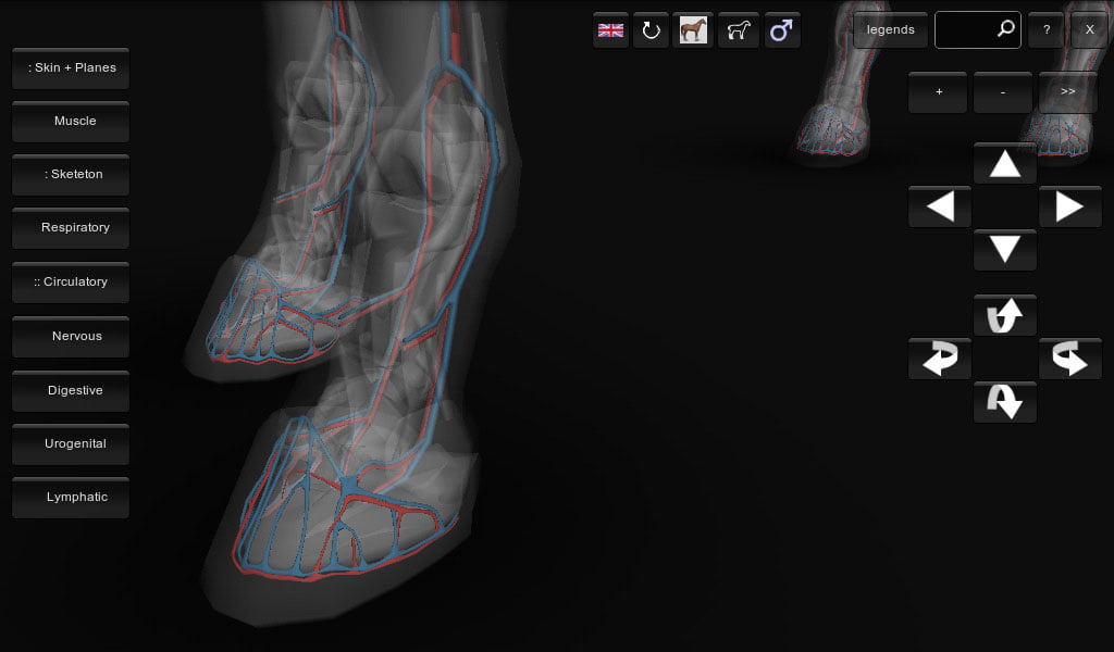 3D Horse Anatomy Android App 07