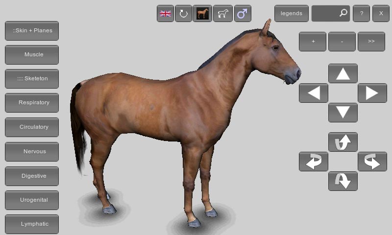 3D Horse Anatomy Android App