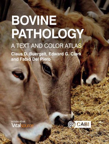 Bovine Pathology, A Text And Color Atlas