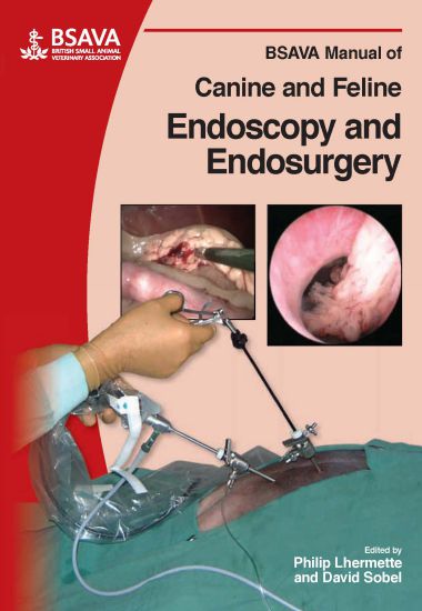 Manual Of Canine And Feline Endoscopy And Endosurgery