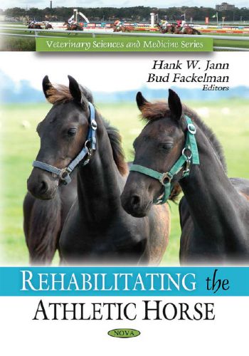 Rehabilitating The Athletic Horse