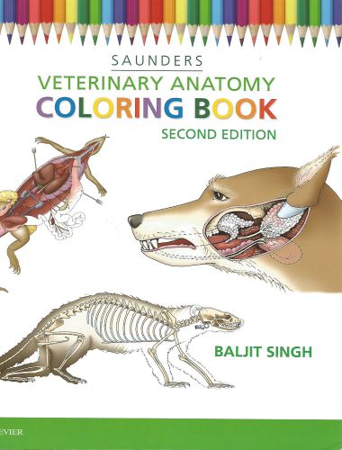 Saunders Veterinary Anatomy Coloring Book