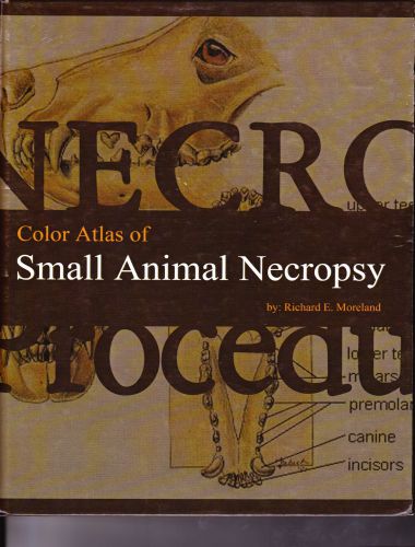 Color Atlas Of Small Animal Necropsy