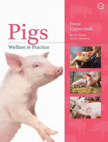 Pigs Welfare in Practice 1st Edition - PDFLibrary Pigs, Welfare In Practice 1st Edition